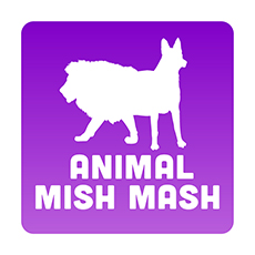Animal Mish Mash